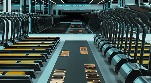 NINGBO LEVISMAN SPORTING GOODS CO.,LTD.